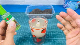 Inilah Ramuan Pengusir Nyamuk Paling Ampuh, Gak Nyangka Modalnya Cuma Lilin Aja!