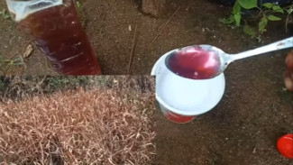 Cukup 1 Sendok, Rumput di Lahan Hektaran Bisa Lenyap! Racikan Herbisida Ampuh untuk Petani