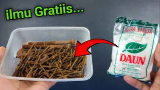 Ubah Paku Karatan Jadi Cuan! Begini Cara Bikin Pewarna Kayu dari Barang Bekas
