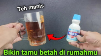 Trik Ampuh Bersihkan Noda Teh dan Kapur di Gelas Agar Kinclong Seperti Baru