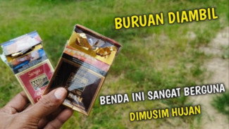 Nemu Bungkus Rokok? Segera Ambil! Punya Manfaatnya Luar Biasa yang Wajib Kamu Coba
