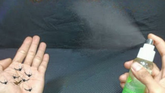 No Kimia, Cukup Minyak Sereh dan Jeruk Nipis! Solusi Ampuh Mengusir Nyamuk di Rumah