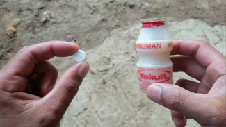 Pasti Kaget, Cuma Hitungan Hari Tanaman Kecil Cepat Berbuah Diluar Musim, Modal Dua Bahan Ini