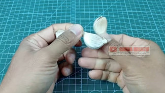 Usir Tikus Jadi Semudah Memasak, Cukup Gunakan Bawang Putih, Hasilnya di Luar Nalar!