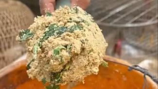 Rahasia Sukses Peternak! Racikan Pakan Ayam Kampung Biar Cepat Besar dan Gak Gampang Sakit