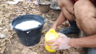 Cara Basmi Rumput Liar Paling Ampuh di Dunia, No Bahan Kimia, Cukup Pakai Bahan Dapur!