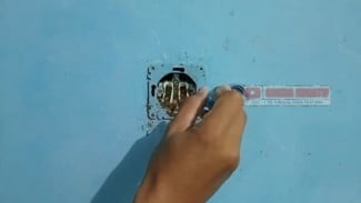 Semut Bersarang di Stopkontak Bisa Picu Kebakaran, Ini Cara Aman Mengusirnya, Dijamin Tidak Balik Lagi!