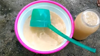 Cara Bikin MOL Penyubur Tanah dari Nasi Basi, Tanaman Subur Berbuah