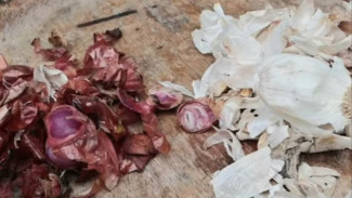 Wow! Dosis Tepat Pupuk Air Cucian Beras, Kulit Bawang, dan Micin: Bikin Tanah Subur Maksimal dalam Seminggu