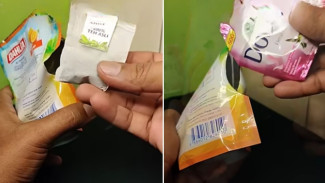Terbongkar! Cara Murah dan Mudah Bikin Rumah Wangi Tanpa Pewangi Mahal, Cuma Pakai 2 Bahan