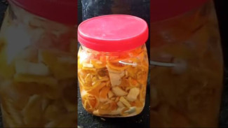 Alami dan Ramah Lingkungan! POC Kulit Jeruk Terbukti Usir Hama Sekaligus Suburkan Tanaman