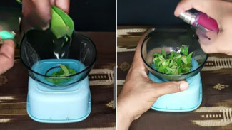 Wajib Coba! Trik Simpel Buat Rumah Selalu Harum Kayak Hotel, Hanya dengan 3 Bahan Murah Meriah