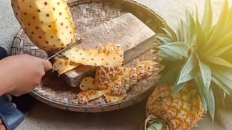 Suburkan Tanaman dengan Kulit Nanas, Begini Caranya!