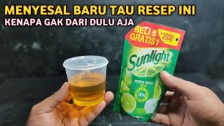 Pakai Sunlight! Hama dan Jamur pada Pohon Cabai Musnah, Begini Caranya