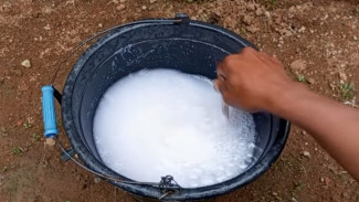 Tips Membuat Herbisida Pembasmi Rumput Liar Sendiri di Rumah, Lebih Ampuh dan Murah!