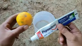 Sekali Semprot, Ribuan Hama Mati! Inilah Racikan Ampuh Pengusir Hama dari Bahan Sederhana