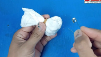 Inilah Jimat Paling Ampuh untuk Usir Tikus dari Rumah, Info A 1!