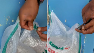 Cuma Sekali Tarik! Begini Cara Buka Karung Beras Tanpa Sobek dan Tanpa Alat Tajam