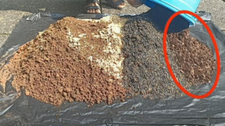 Cara Simpel Bikin Kompos dari Sampah Dedaunan, Bikin Tanaman Kamu Tumbuh Subur Maksimal!