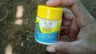 Tanaman Kerdil Karena Tanah di Kebun Asam? Coba Bikin Pupuk Alami dari Soda Kue, Garam dan Teh