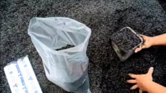 Cara Paling Gampang Bikin Sekam Bakar, Lebih Praktis dan Maksimal