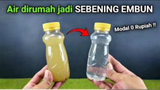Ajaib! Cukup dengan Modal Murah, Bisa Ubah Air Keruh Jadi Bening, Begini Caranya!