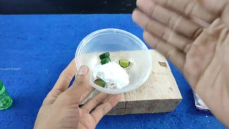 Cara Ampuh Usir Tikus dari Rumah Menggunakan Jeruk Nipis, Bahkan Raja Tikuspun Tidak Bisa Berkutik!