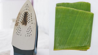 Pakai Alas Daun Pisang! Setrika Karat Jadi Bersih dan Licin Lagi