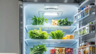 Tips Kilat Bersihkan Kulkas dalam Sekejap Mata tanpa Mematikan Mesin, Dijamin Berhasil!