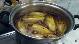 Pupuk Rahasia Pelebat Buah, Sering Dibuang Padahal Ampuh!