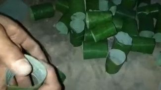 Cara Unik Menyemai Cabai Cuma Pakai Daun Pisang, Murah Meriah dan Efektif!
