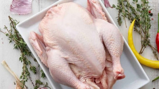 Tips Mudah Mencabut Bulu Ayam Secara Manual, Beres dalam Hitungan Menit!