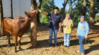 Wujud Kepedulian Sosial, Perum Jasa Tirta II Salurkan Hewan Kurban di Momen Iduladha