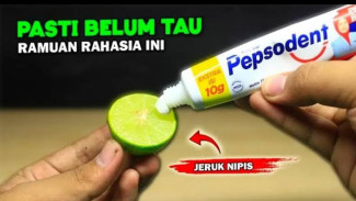 Bikin Istri Terkejut! Dua Bahan Ini Punya Khasiat Luar Biasa yang Wajib Dicoba
