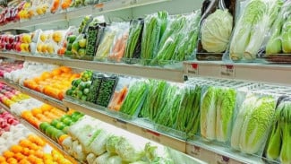 5 Ide Menanam Sayur yang Bisa Hasilkan Cuan Melimpah, Auto Kaya Raya!