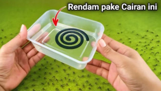 Suka Batuk saat Pakai Obat Nyamuk? Ini Cara Aman Mengusir Nyamuk Tanpa Asap dan Api