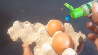 Trik Ajaib Anti Ribet! Kaleng Bekas dan Rak Telur Disulap Jadi Pembasmi Nyamuk Super Sakti!