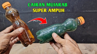 Puntung Rokok Dicampur Obat Nyamuk Bakar, Jadilah Cairan Sakti Pembasmi Hama yang Super Ampuh!