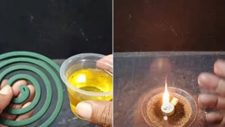 Rahasia Obat Nyamuk Super Awet Cuma Modal Minyak Goreng, Bisa Nyala Seharian Tanpa Henti!