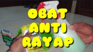 Bikin Obat Anti Rayap Ampuh Makin Mudah, Cukup Siapkan Sabun Cuci Piring Cair