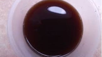 Pakai Kecap! Tanaman Tumbuh Subur dan Berbuah Lebat, Petani Bisa Kaya Raya