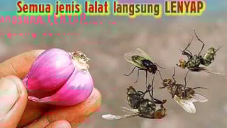 img_title