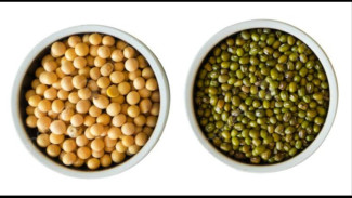 Kacang Hijau Campur Kedelai Ternyata Luar Biasa Buat Tubuh, Simak Cara Olahnya di Sini!