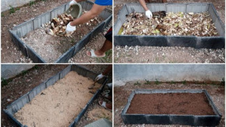 Cara Bikin Raised Bed dengan Media Tanam Subur, Bercocok Tanam di Kebun Rumah Makin Seru