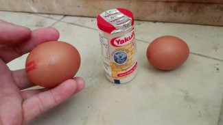 Cara Lengkap Buat Pupuk Organik Cair dari Telur dan Yakult, Tanaman Kuat dan Sehat