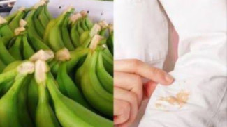 Mudah Tanpa Pemutih! Ini Trik Ampuh Hilangkan Noda Getah Pisang pada Baju, Pakai Jeruk Nipis dan Cuka!