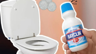 Udah Gak Mampu Atasi Kerak di Kloset? Pakai Pemutih Pakaian, WC Auto Bersih dan Kinclong