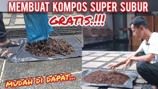 Jangan Buang Daun Kering! Sulap Jadi Kompos Subur Pakai Cara Alami dengan Mudah