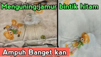 Punya Bantal Bayi Kusam, Dekil, dan Ada Bintik Hitam? Gampang, Ini Cara Mudah Hilangkannya