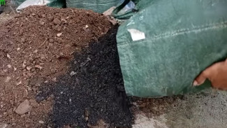 Campur Dua Bahan Ini, Media Tanam Jadi Super Gembur Meski Disiram Setiap Hari!